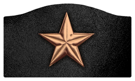 DASHELL-430-BZ-BK Star Bronze-Black